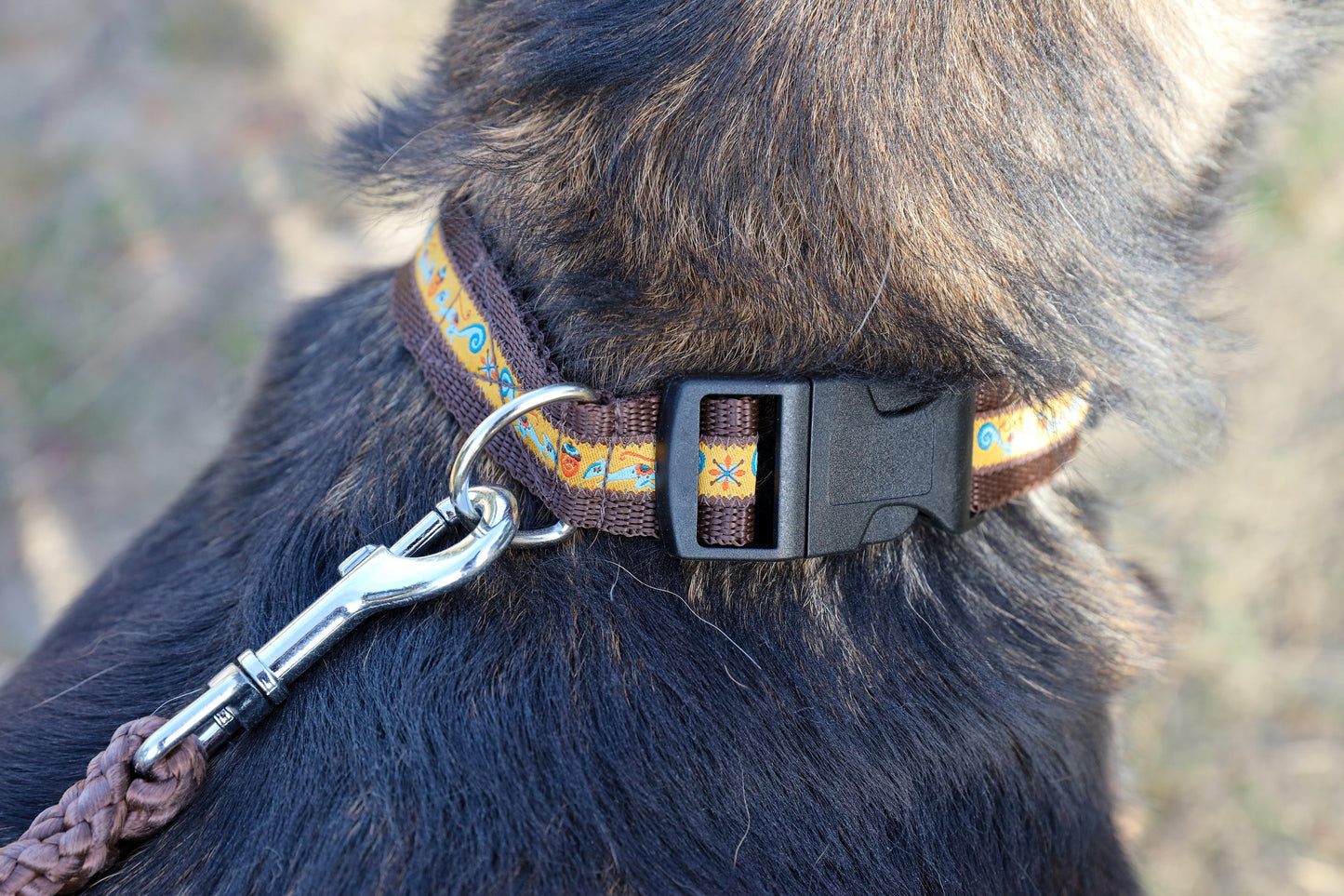 Set voor grote hond - Squirrel