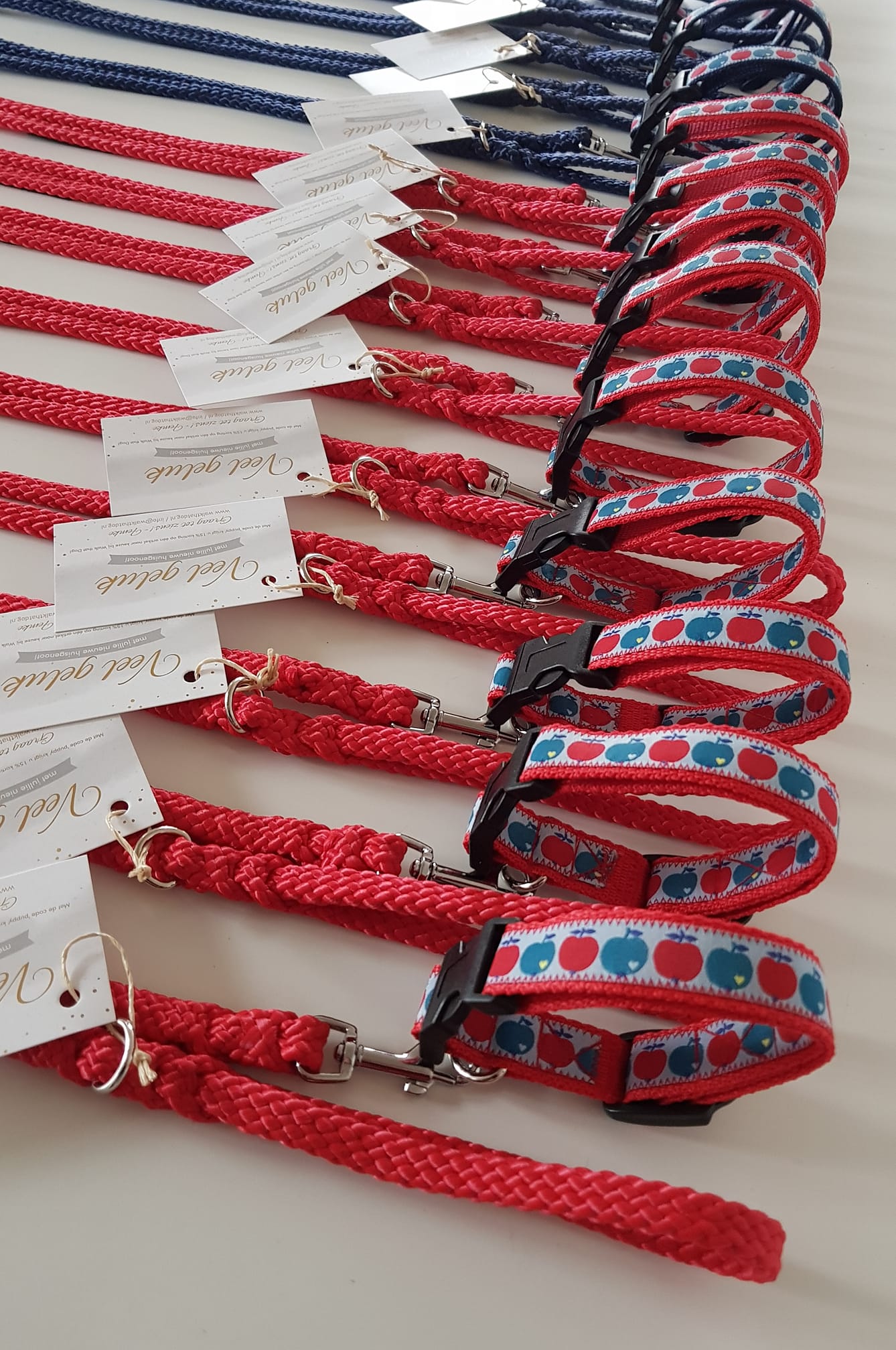 Dutch Lab's - Puppysetjes