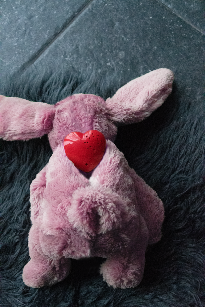 Puppypakket - Cozy Bunny Grey
