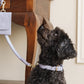 The Dog Musthaves Pooch leer | Stijlvolle Beloningstasje voor Hondenkoekjes en Poepzakjes - Lila