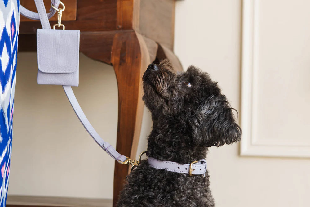 The Dog Musthaves Pooch leer | Stijlvolle Beloningstasje voor Hondenkoekjes en Poepzakjes - Lila