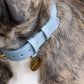 The Dog Musthaves - Hondenhalsband echt leer met naam penning - Blauw