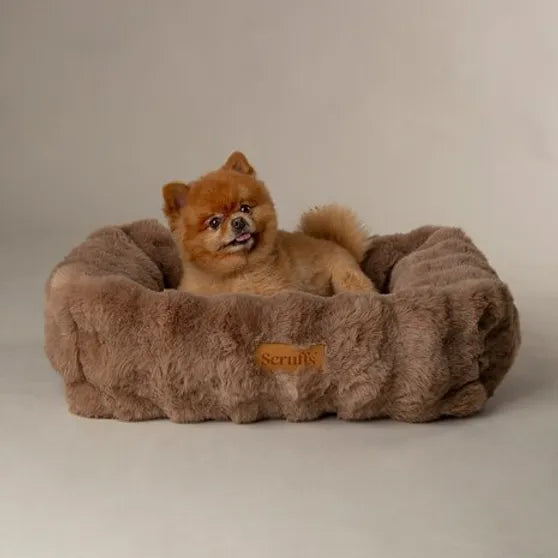 Scruffs - Alpine Box Bed Taupe