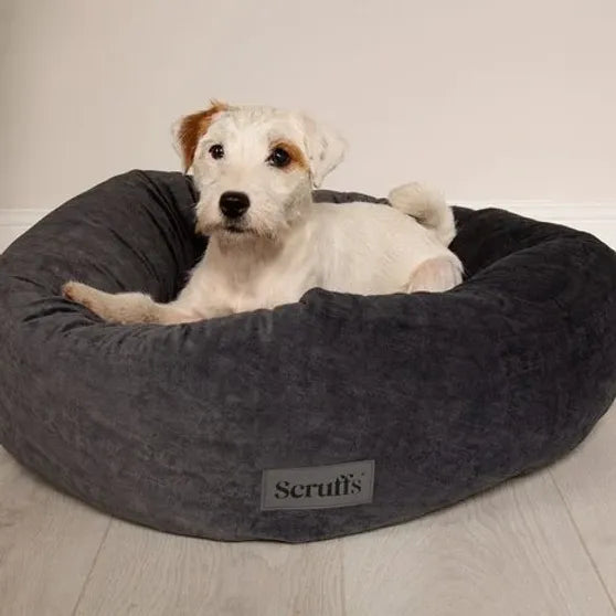 Scruffs - Oslo ronde mand Grey