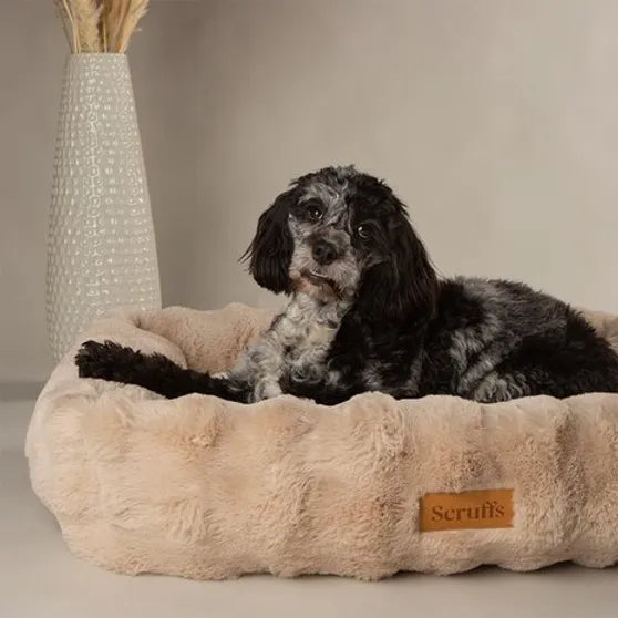 Scruffs - Alpine Box Bed Champagne