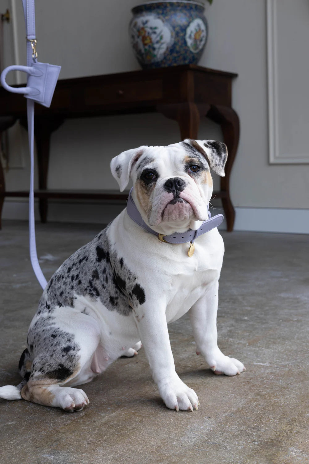 The Dog Musthaves Designer Bag - Beloningstasje voor hondenkoekjes en poepzakdispenser - Lila