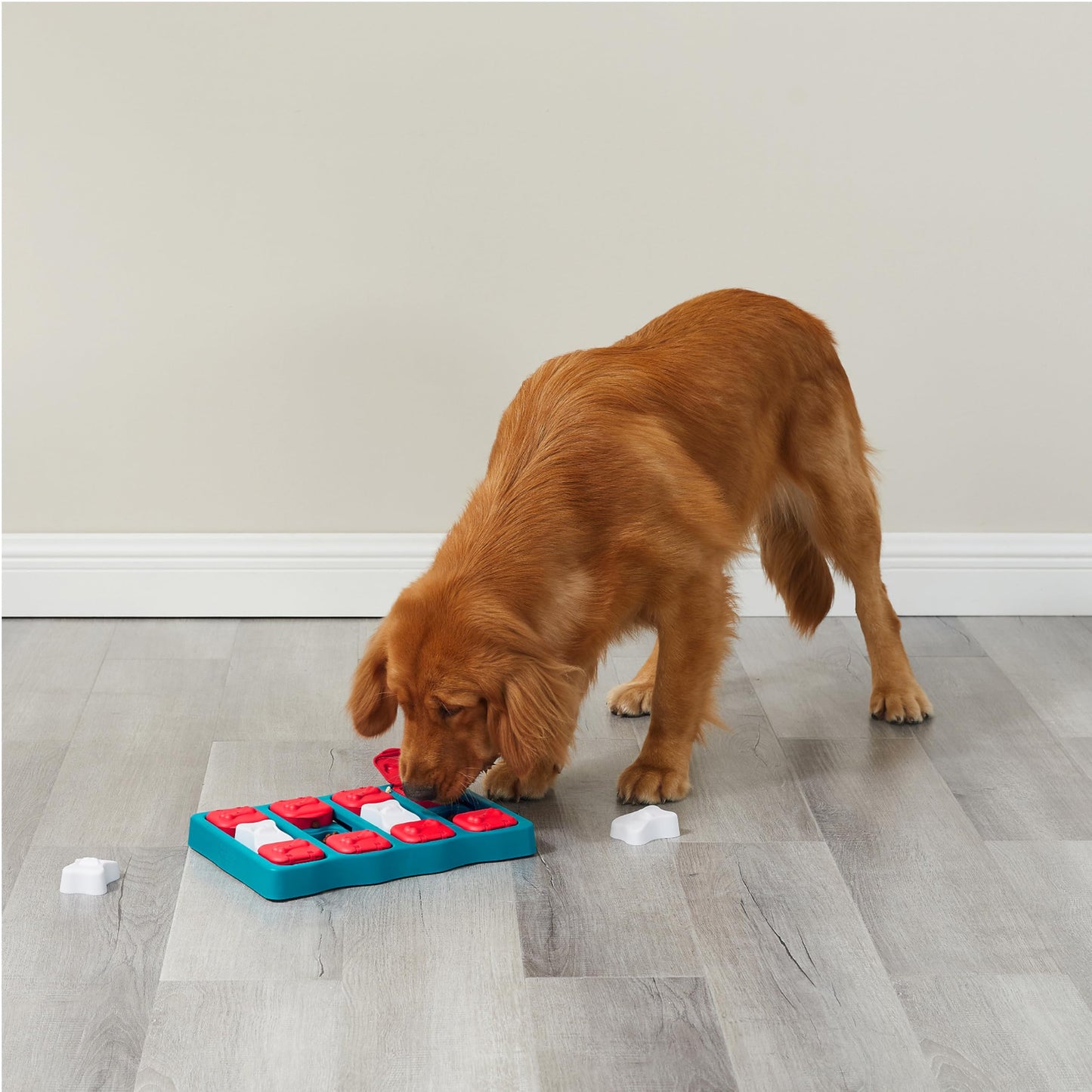 Dog Brick by Nina Ottosson