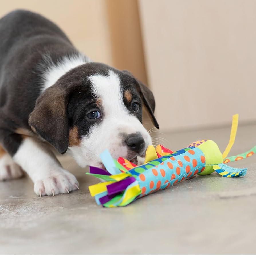 Petstages - Cool Teething Stick