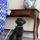 The Dog Musthaves - Blauwe leren hondenriem