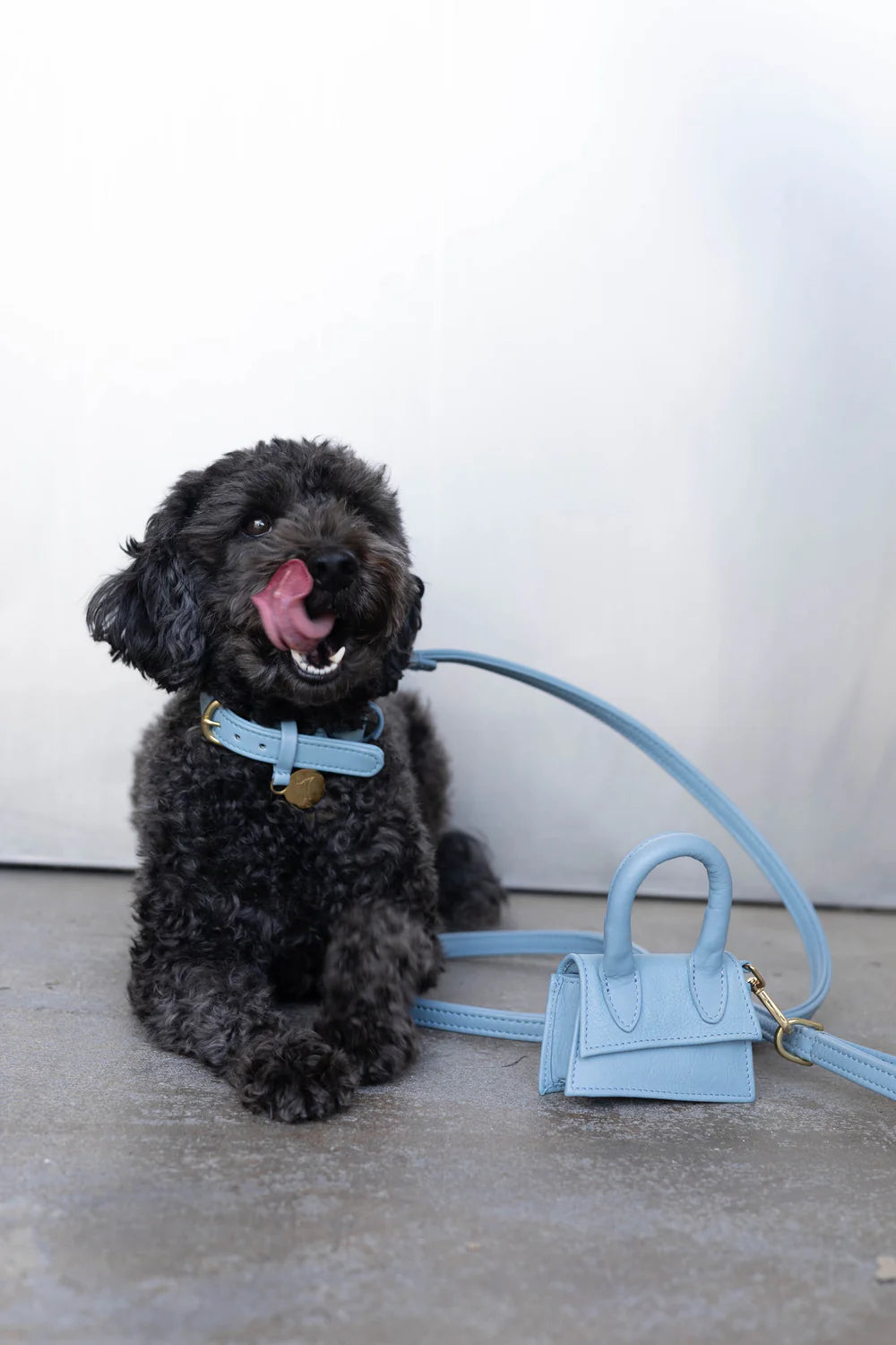 The Dog Musthaves Designer Bag - Beloningstasje voor hondenkoekjes en poepzakdispenser - Blauw