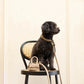 The Dog Musthaves Designer Bag - Beloningstasje voor hondenkoekjes en poepzakdispenser - Taupe