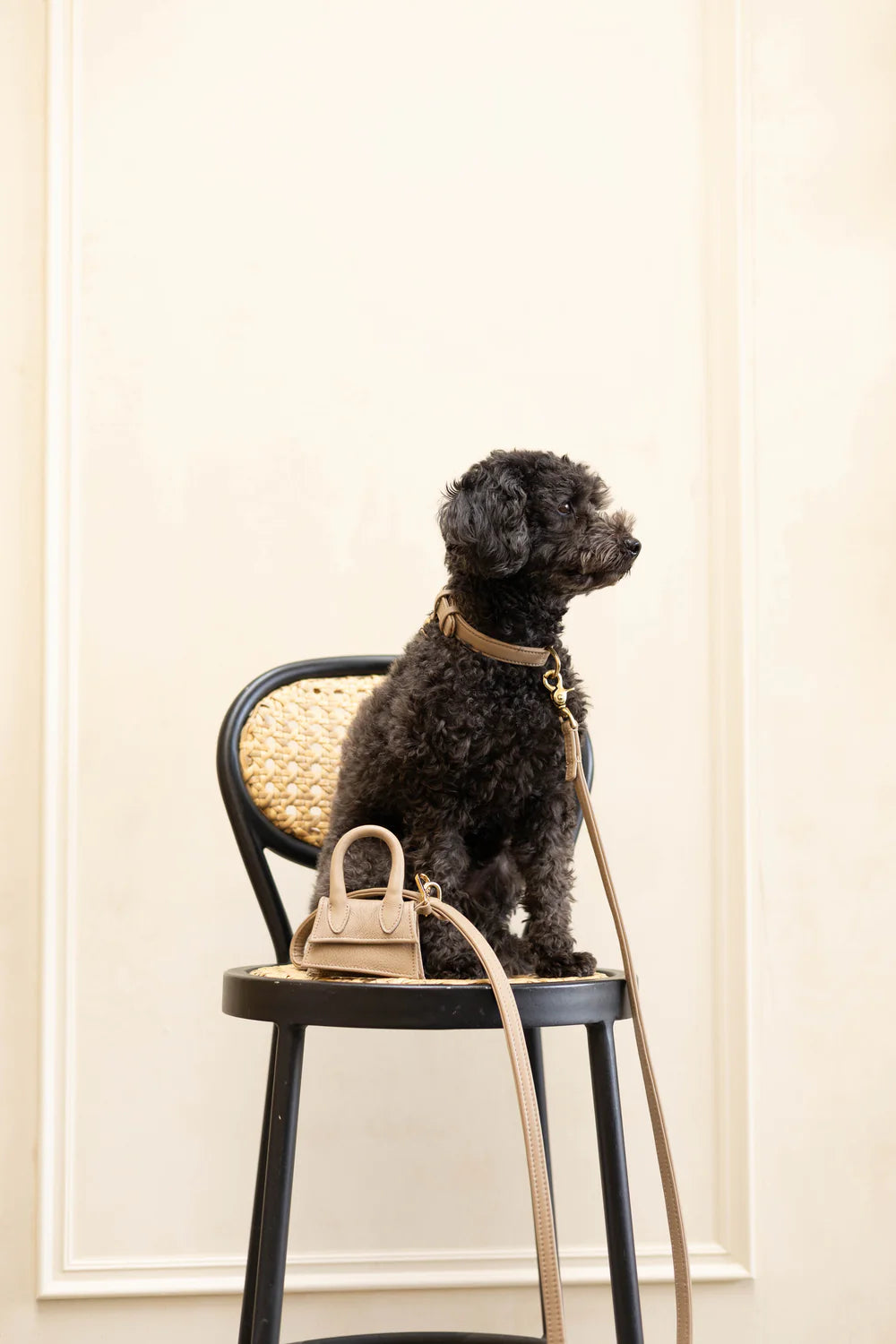 The Dog Musthaves Designer Bag - Beloningstasje voor hondenkoekjes en poepzakdispenser - Taupe