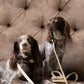 The Dog Musthaves - Taupe leren hondenriem