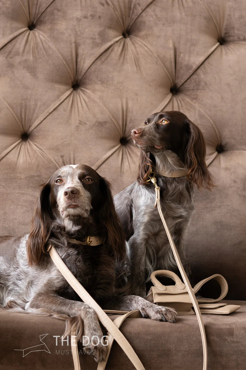 The Dog Musthaves - Taupe leren hondenriem