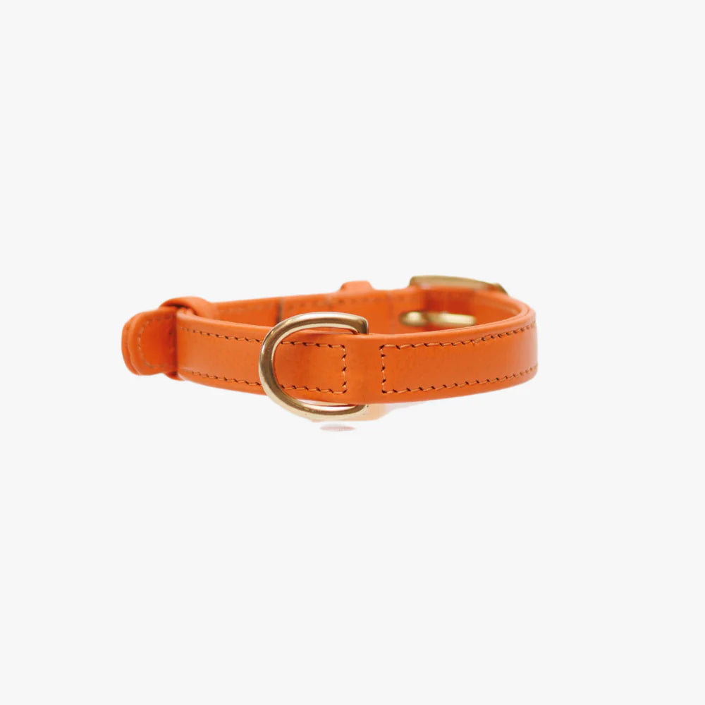 The Dog Musthaves - Hondenhalsband echt leer met naam penning - Oranje