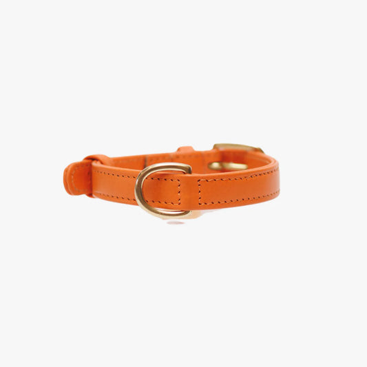 The Dog Musthaves - Hondenhalsband echt leer met naam penning - Oranje