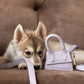The Dog Musthaves - Lila leren hondenriem