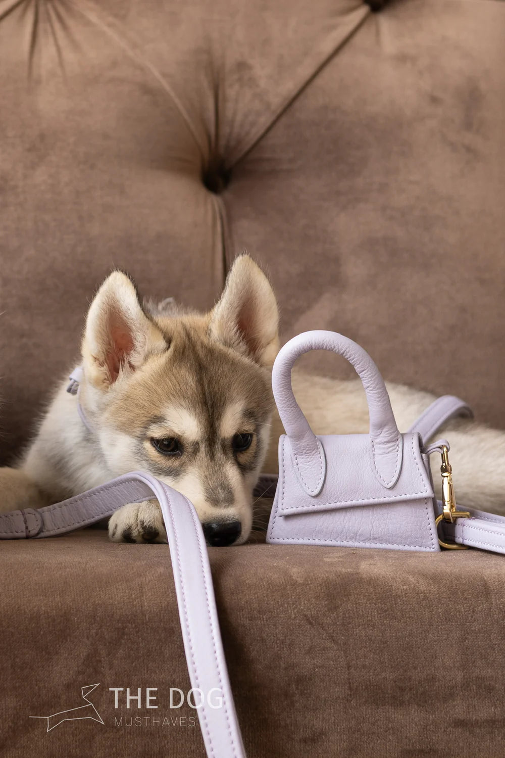 The Dog Musthaves - Lila leren hondenriem