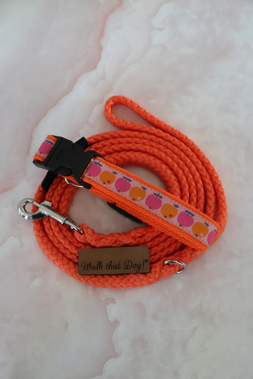 Middel halsband - Appeltjes van Oranje