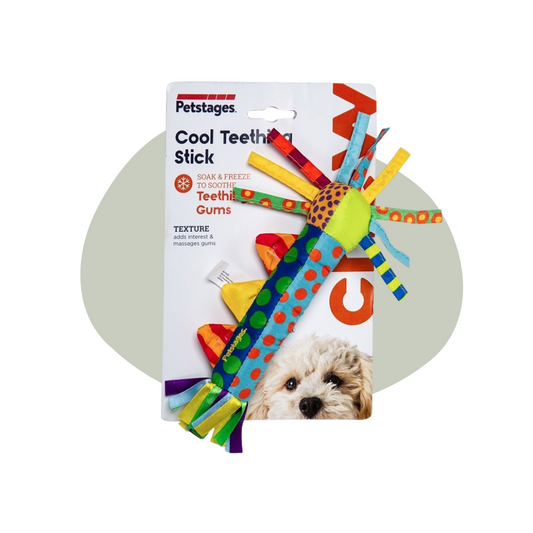 Petstages - Cool Teething Stick