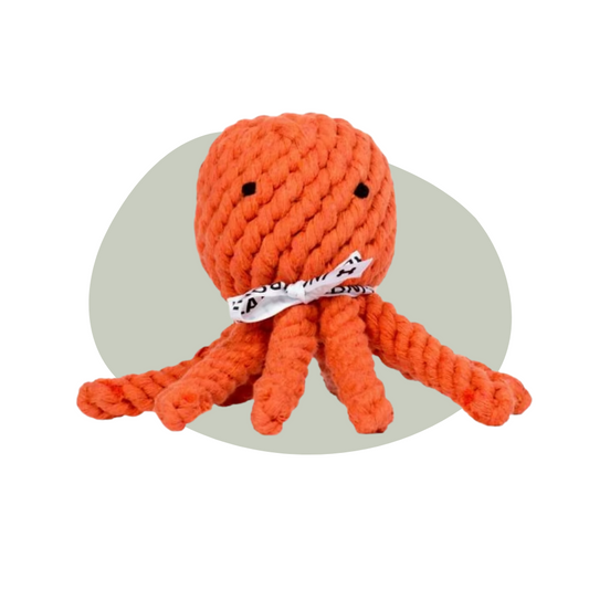 Ollie Octopus