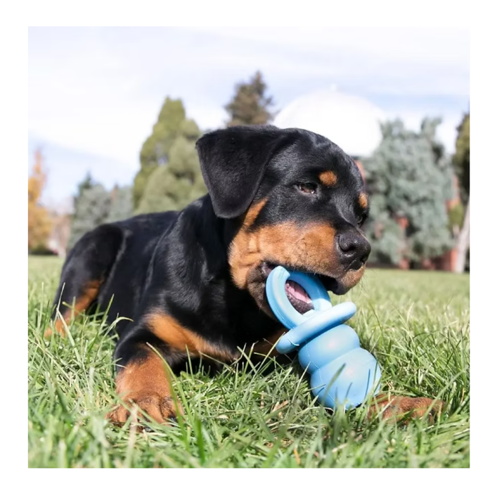 KONG - Puppy Binkie