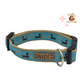 Halsband - Teckel Party Blauw