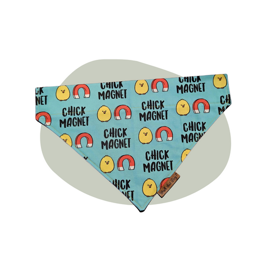Bandana - Chick Magnet