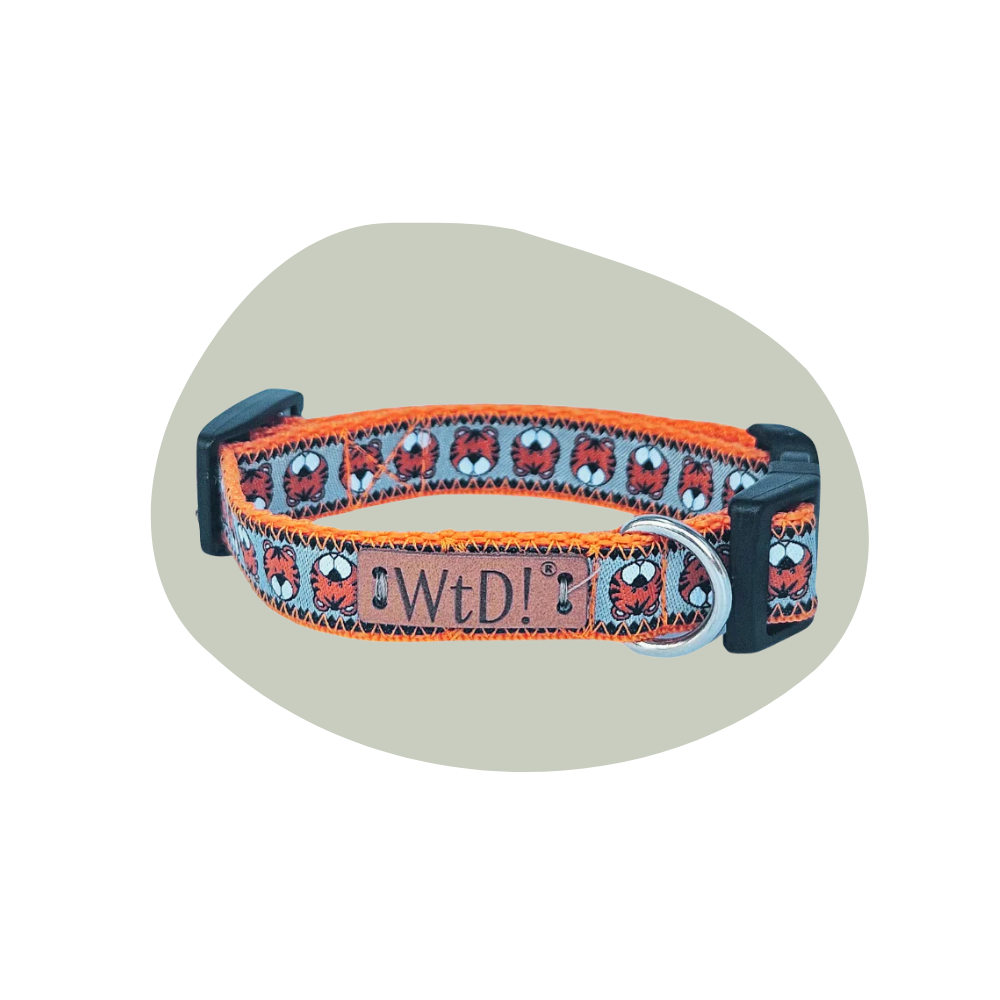 Halsband 15 mm - Baby Tiger Oranje