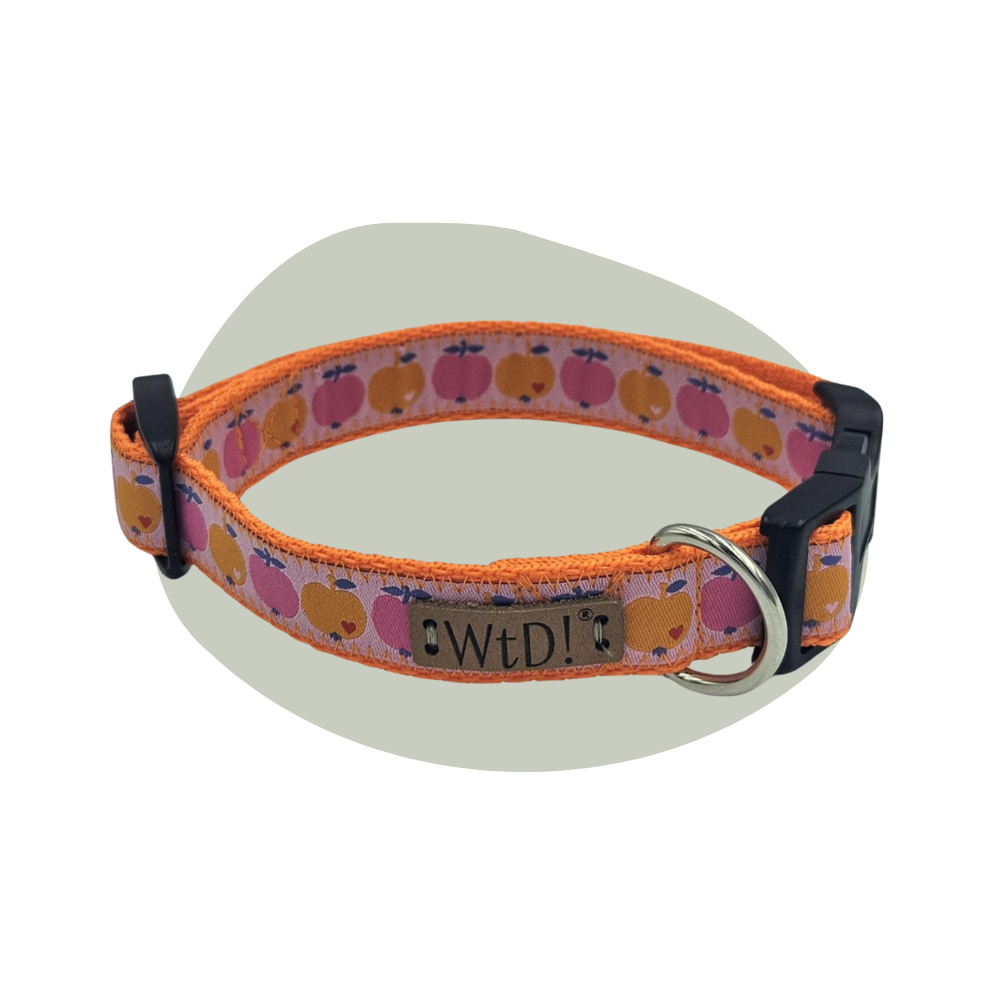 Middel halsband - Appeltjes van Oranje