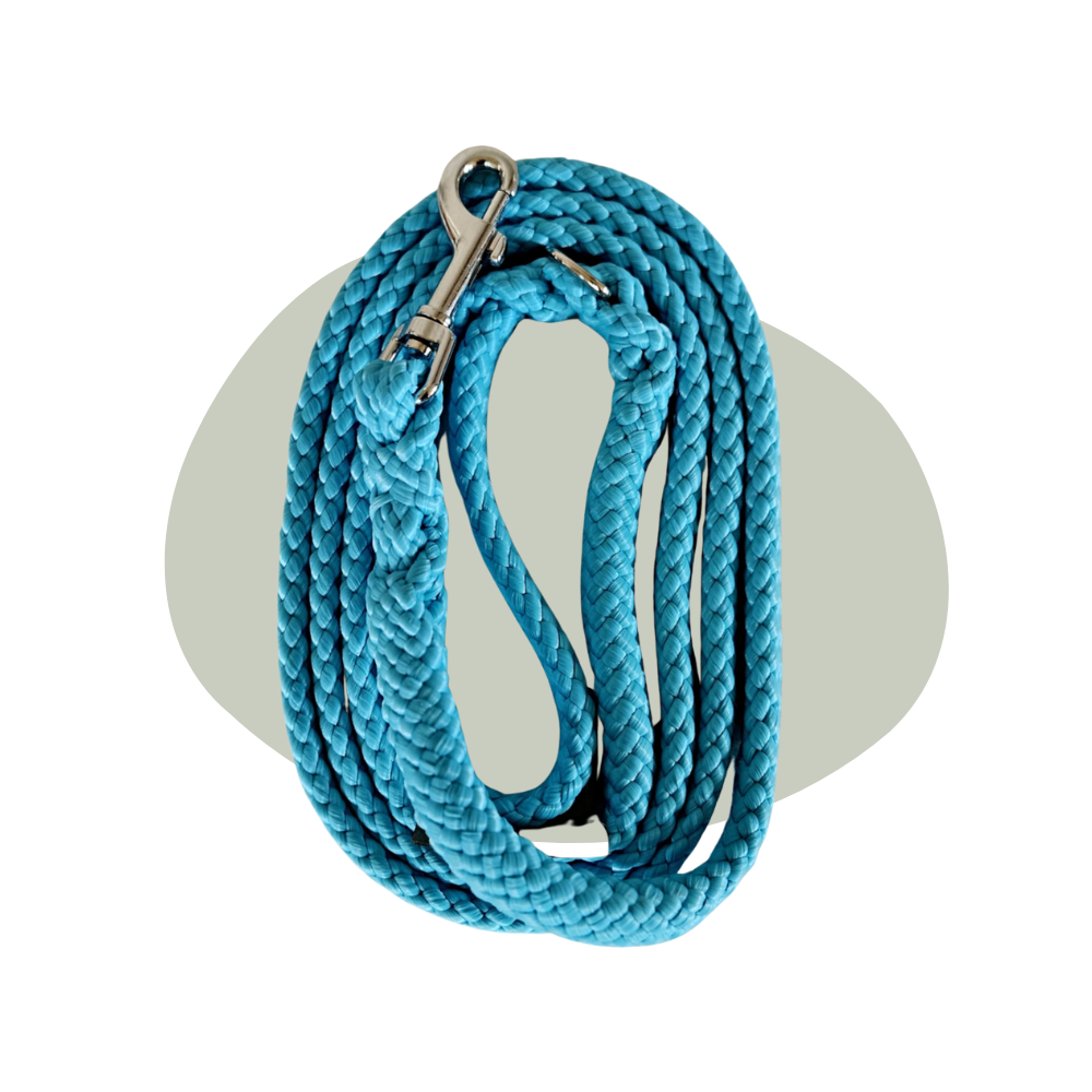 Wandellijn - Turquoise