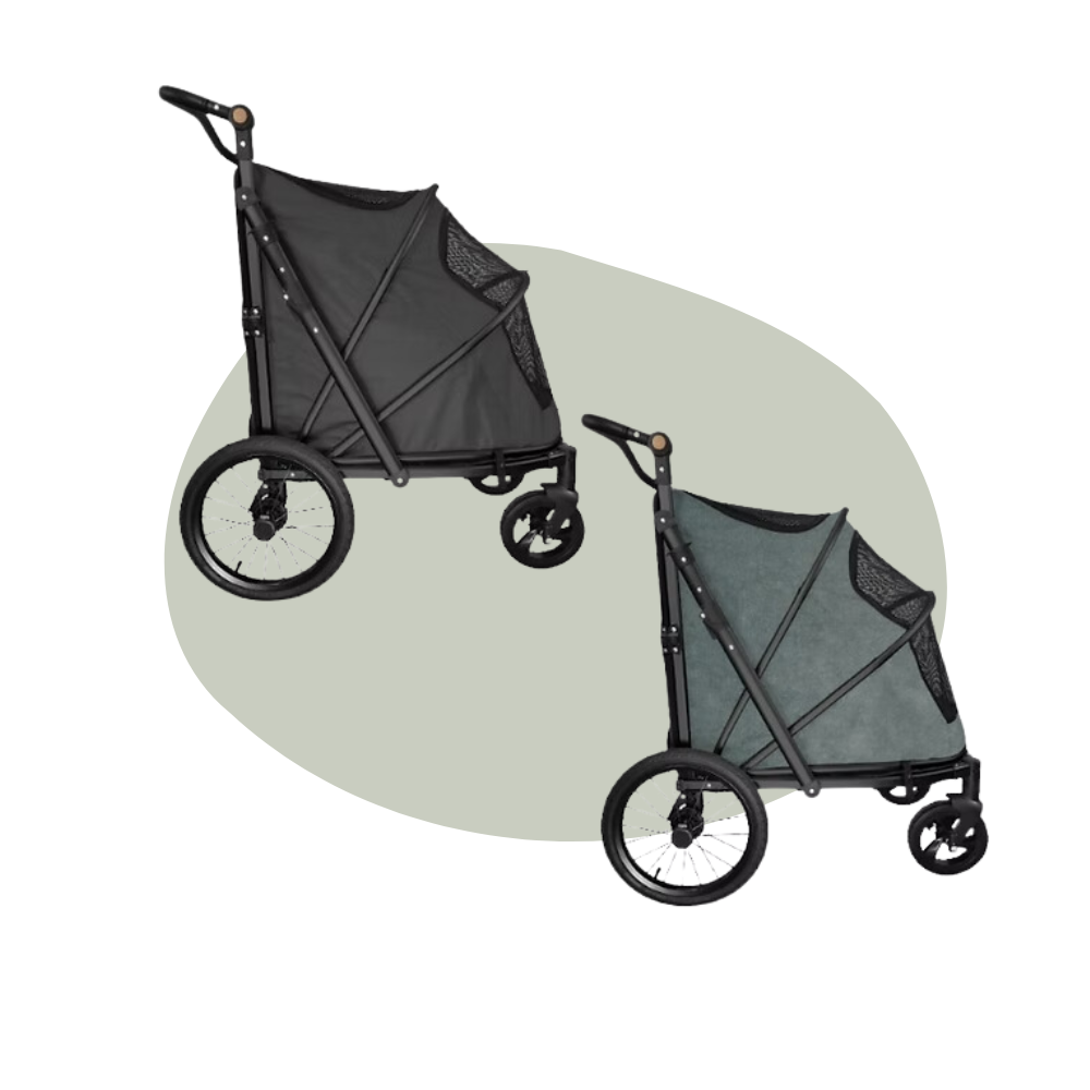 Buggy type 4