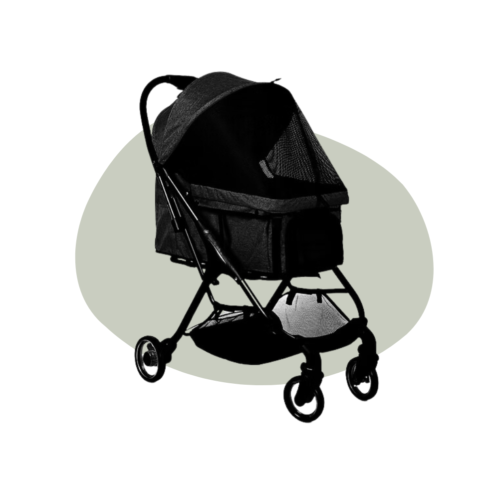 Buggy type 2