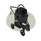 Buggy type 3