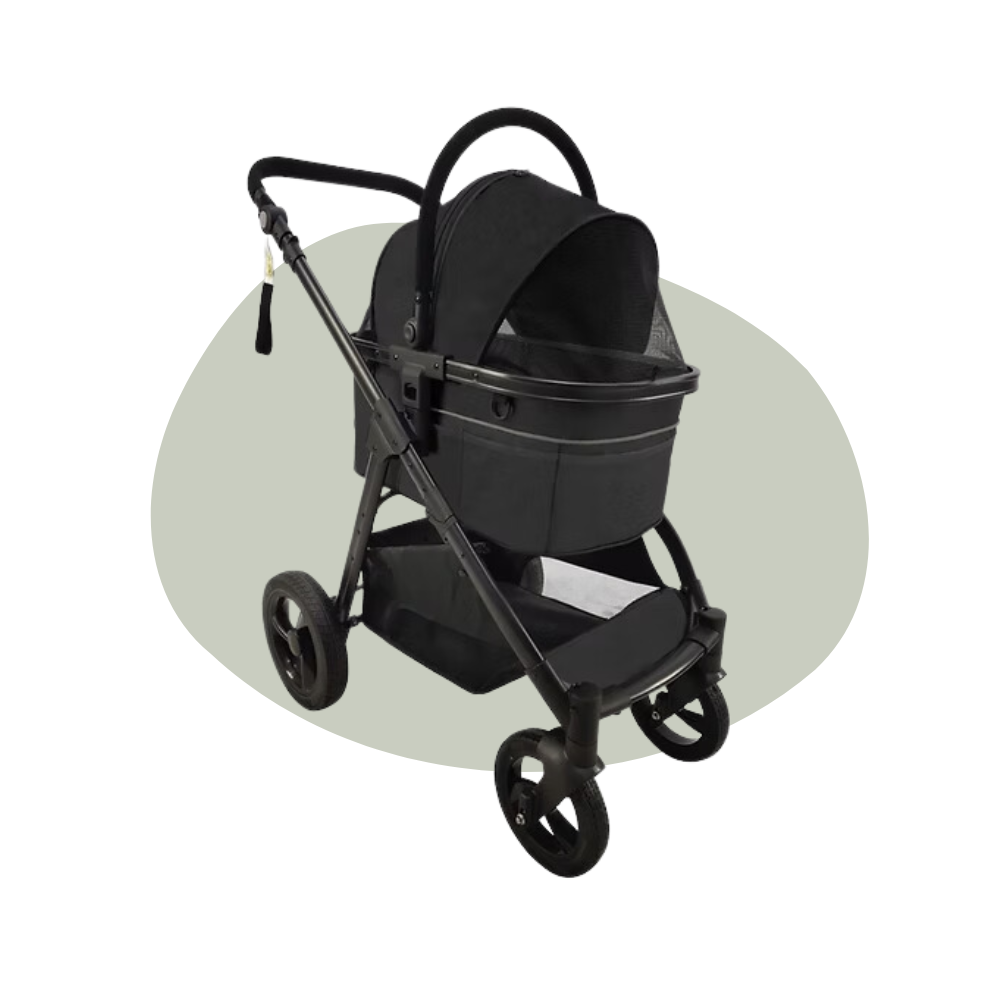 Buggy type 3