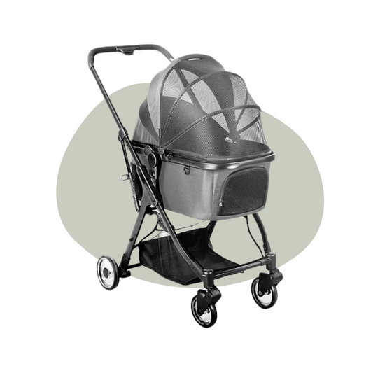 Buggy type 1