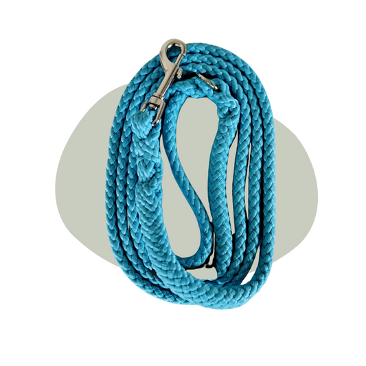 Wandellijn - Turquoise