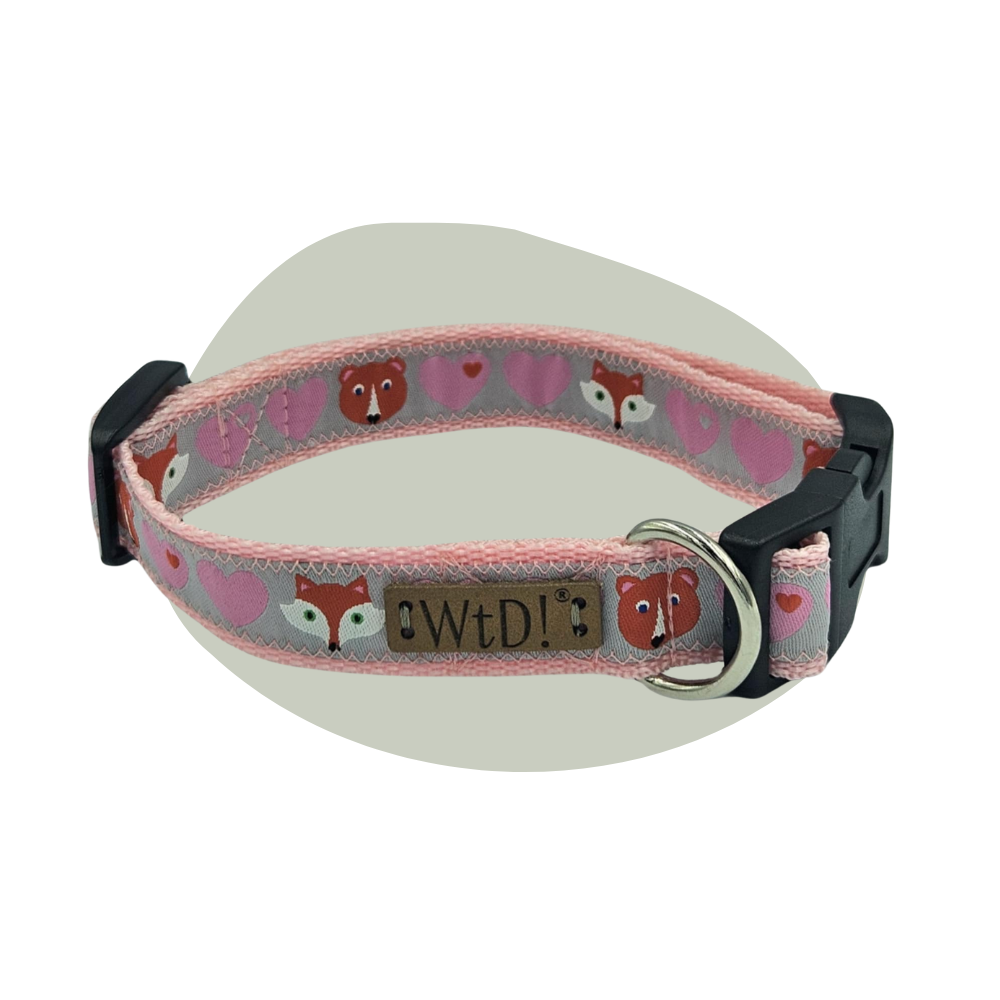 Middel halsband - Vos en friend