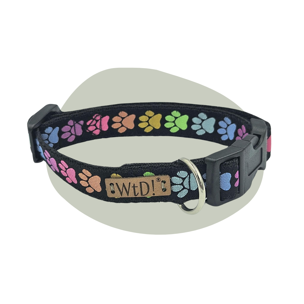 Middel halsband - Paws