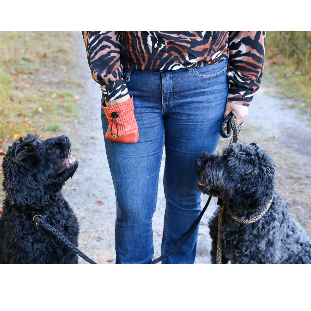 Beloningstasje - Happy Doggies