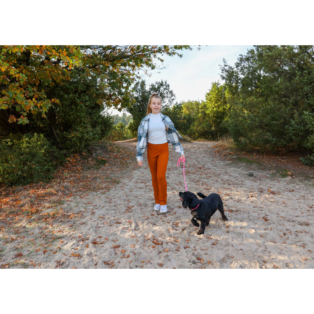 Wandellijn - tompouce