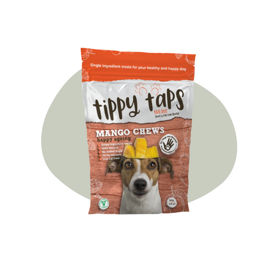 Tippy Taps Fruit snack - Mango