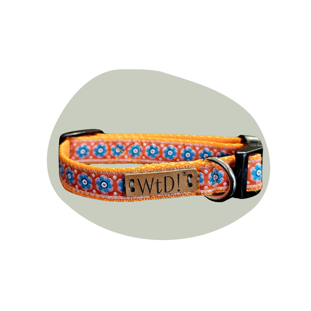 Halsband 15 mm - Tiny Daisy