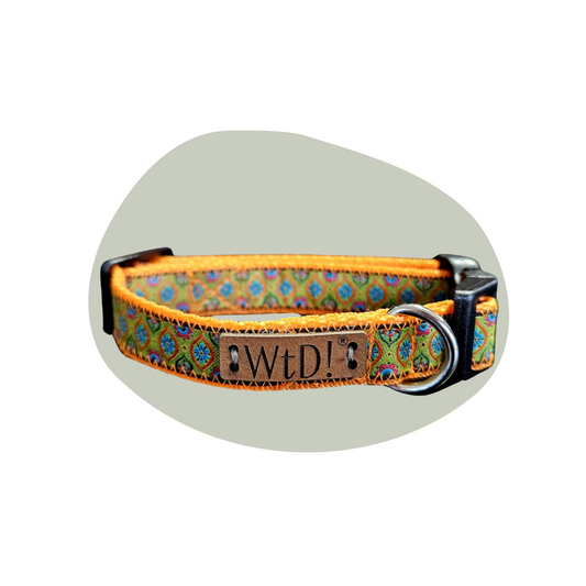 Halsband 15 mm - Oriënt Oranje