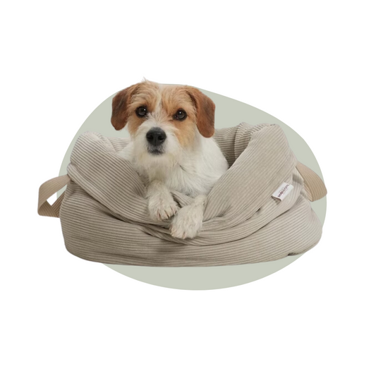 DOGS in the CITY - Zand Basket