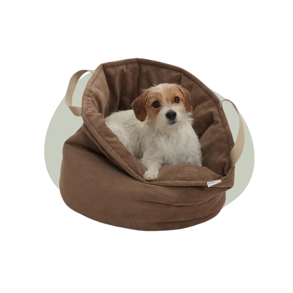 DOGS in the CITY - Toffee Basket
