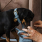 The Dog Musthaves Designer Bag - Beloningstasje voor hondenkoekjes en poepzakdispenser - Blauw