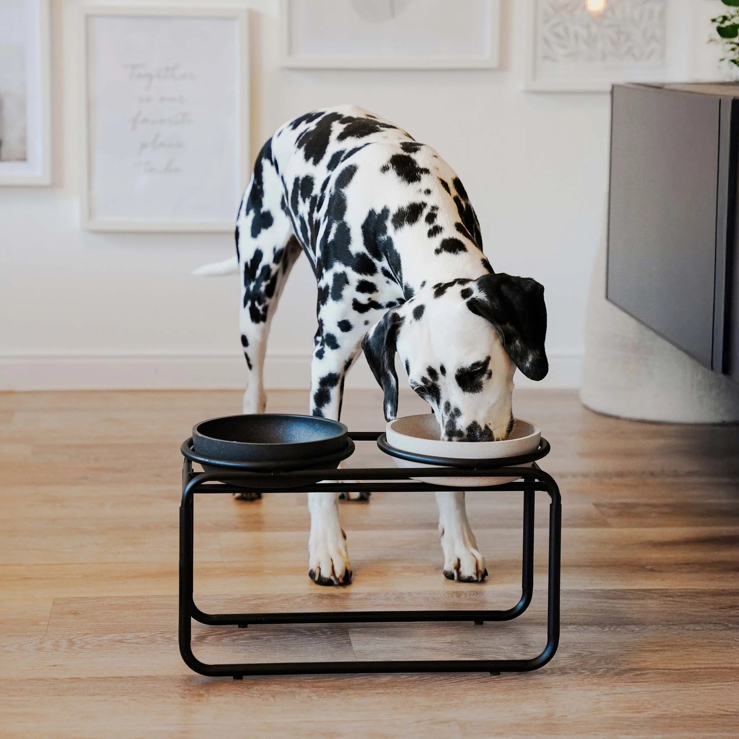 District 70 - BUTLER Voerbakstandaard