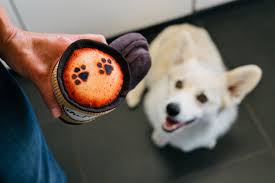 Doggo's Java