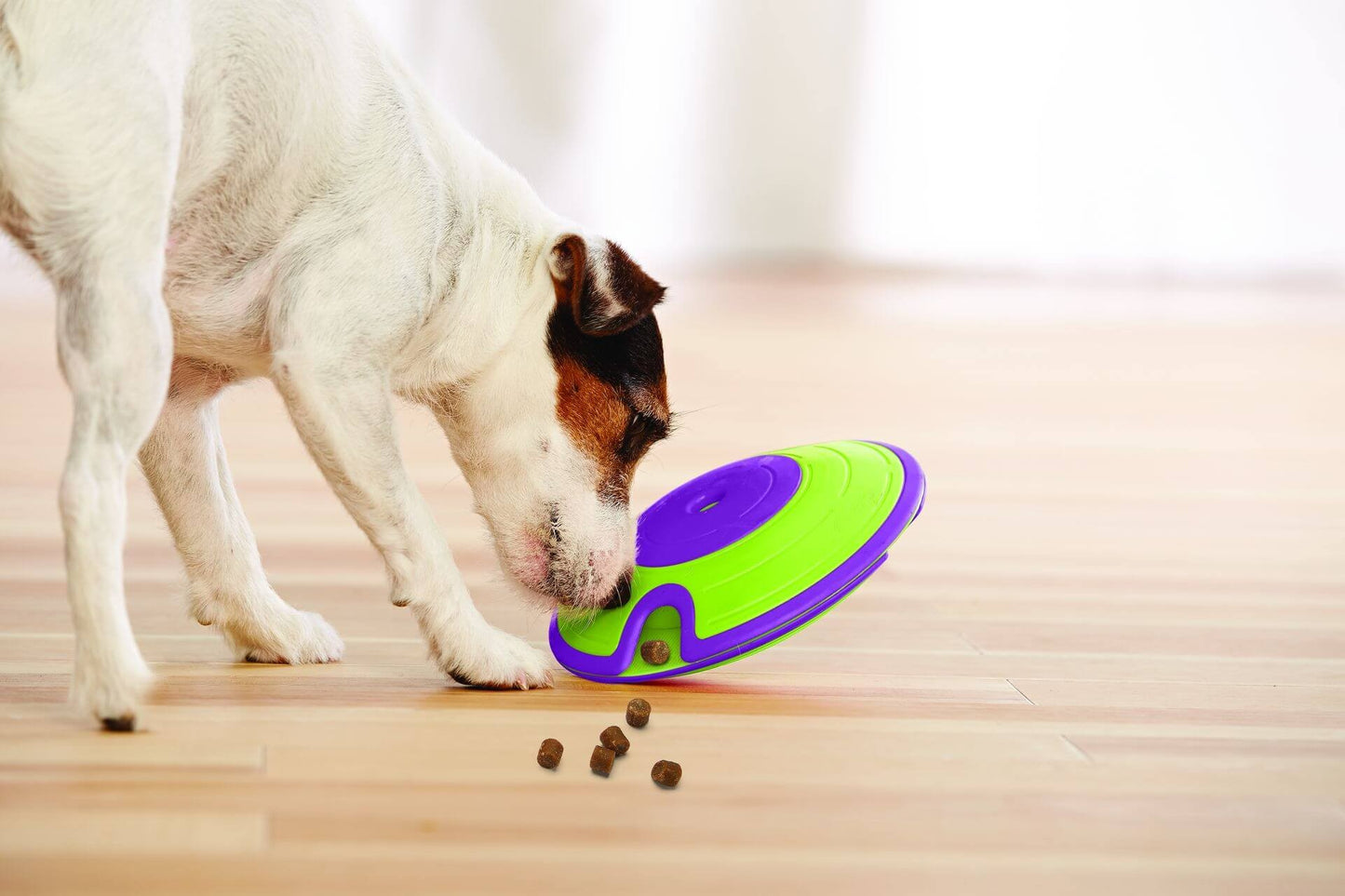 Dog Treat Maze by Nina Ottosson